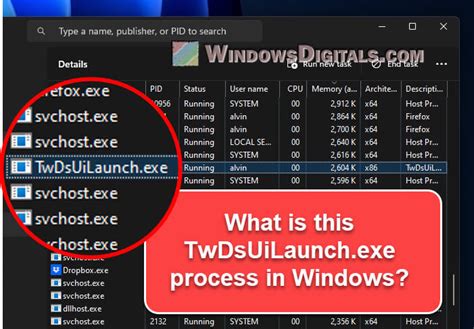 What does TwDsUiLaunch.exe do and Can I Disable。